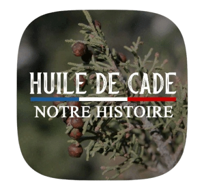 notre histoire