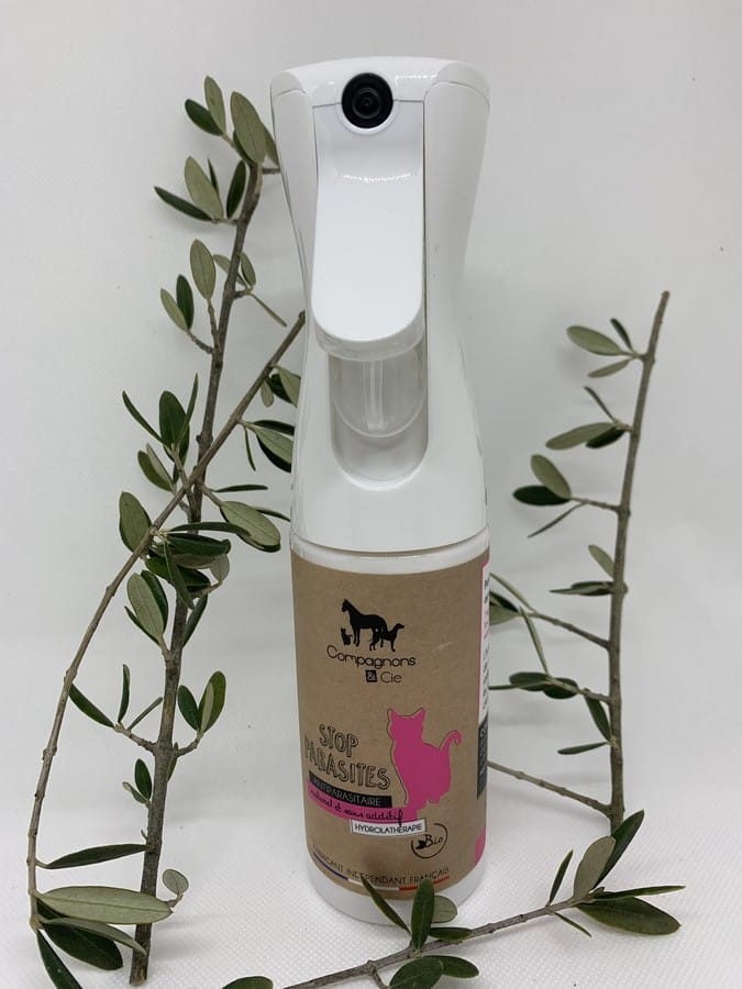 Anti puce Naturel pour Chat